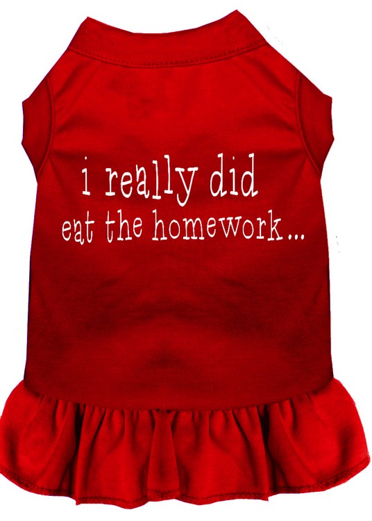 I really did eat the Homework Screen Print Dress Red XL